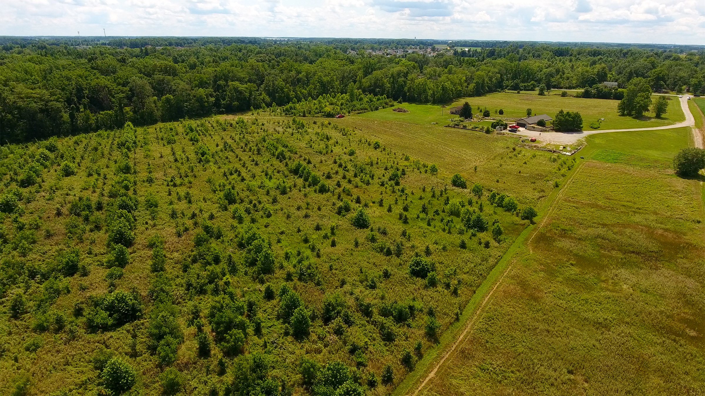Property photo 19 - REAL ESTATE AUCTION - 26+/- ACRES IN 3 TRACTS IN SOUTHWEST ALLEN COUNTY, INDIANA